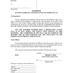 SUMMONS St Clair County Circuit Clerk Fill And Sign Printable