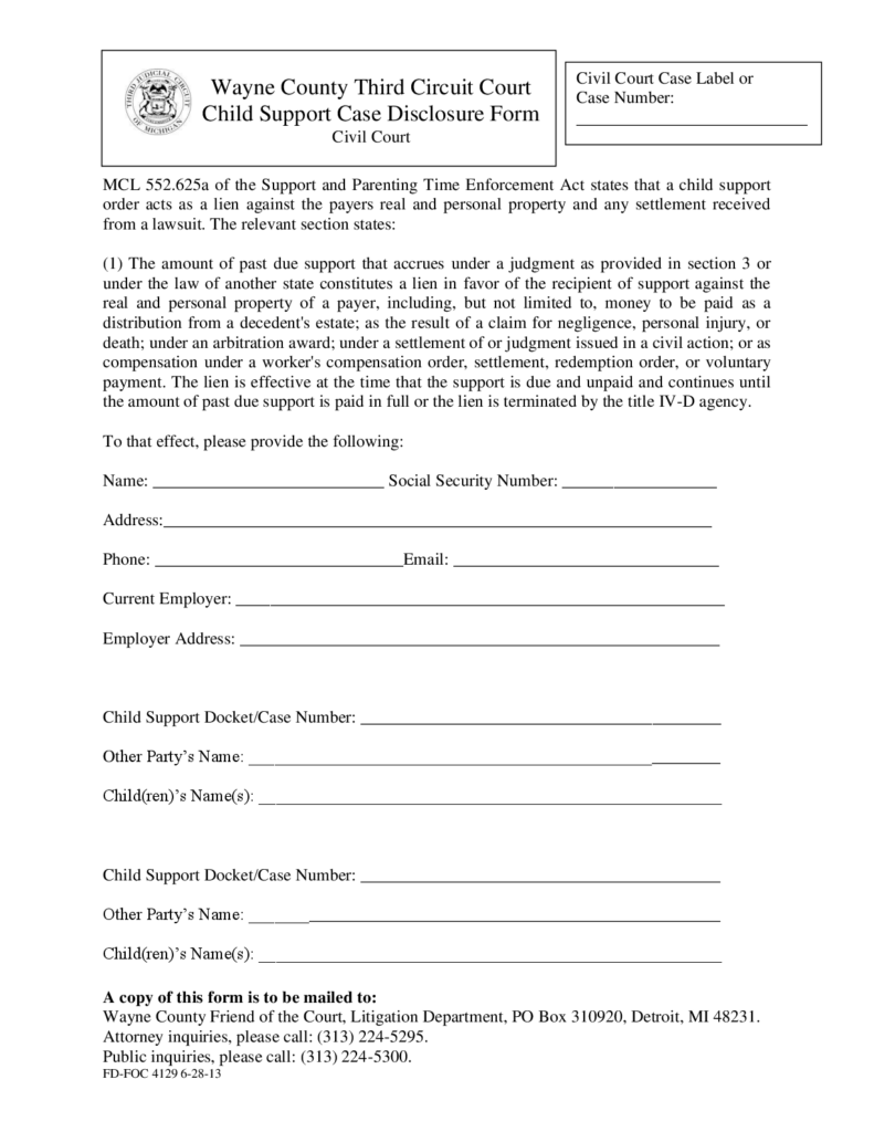 Wayne County Third Circuit Court 3rdcc Form Fillable Pdf Template 