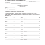 Fillable Custody Affidavit Form Probate Court Of Wayne County Ohio