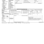 Fillable Student Discipline Referral The School District Of Palm