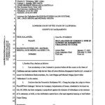 Judge Shelleyanne Chang Conflict Of Interest Misconduct Sacramento