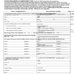 69 Guardianship Forms And Templates Free To Download In PDF