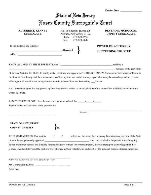 Affidavit 1310 Surrogate S Court Form AffidavitForm Affidavit 1310 Surrogate s Court Form AffidavitForm