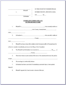 County Court Affidavit Example Gambaran CountyForms com County Court Affidavit Example Gambaran CountyForms com