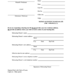 Court Of Domestic Relations Fill Out Sign Online DocHub