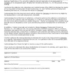 FREE 15 Drug Testing Consent Forms In PDF MS Word