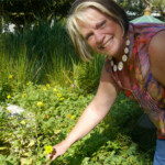 Hillsborough County Volunteer Hero Judy Hanna