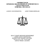 Licking County Felony Court Records Fill Online Printable Fillable