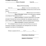 Nj Final Accounting Form For Probate Fill And Sign Printable Template