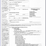 Oswego County Family Court Forms CourtForm