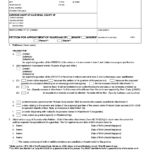 Petition For Appointment Of Guardian Forms Docs 2023