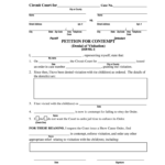 Petition For Contempt Fill Out Sign Online DocHub