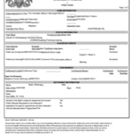 Top Samples Docket Sheets Free To Download In PDF Format