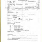 Ventura County Court Forms Form Resume Examples goVLP6pVva
